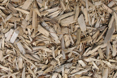 biomass boilers Wheat Hold