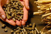 free Wheat Hold biomass boiler quotes